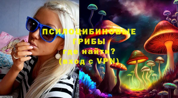 spice Аркадак