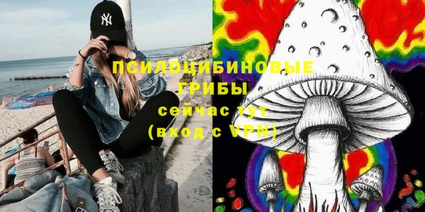 spice Аркадак