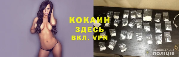 spice Аркадак