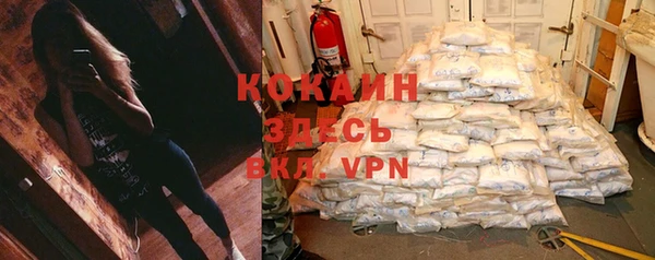 spice Аркадак