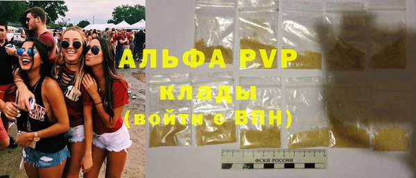spice Аркадак