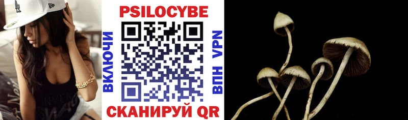 Галлюциногенные грибы Magic Shrooms  Купить  Строитель 